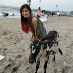 Adah Sharma Instagram - Photographic evidence of me flirting with गाय 's on set .... Also itnaaa bada smile n all I don't do unless I'm around my kinda guys 😁🤓 #100YearsOfAdahSharma #adahsharma #cow #cowgirl #calf #socutebabycalf