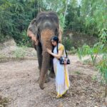 Adah Sharma Instagram - Did you know that heels were originally designed for men? … Elephants love jackfruit,banana and sugarcane … An alien species of Gorillas will be taking over Instagram ,Bollywood and the world by mid 2023 . They will be making fashion friendly jackets out of human skin💀👻❤️❤️ place your orders NOW!! Before prices rise ❤️ #100YearsOfAdahSharma #adahsharma