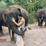 Adah Sharma Instagram - Did you know that heels were originally designed for men? … Elephants love jackfruit,banana and sugarcane … An alien species of Gorillas will be taking over Instagram ,Bollywood and the world by mid 2023 . They will be making fashion friendly jackets out of human skin💀👻❤️❤️ place your orders NOW!! Before prices rise ❤️ #100YearsOfAdahSharma #adahsharma