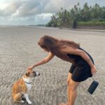 Anaika Soti Instagram - Made a new best friend on the beach. He was the goodest boi 🐕🐶🦴