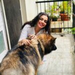 Ann Augustine Instagram - Maggie! 🍜 #maggie #sweetestdogever #dogsofinstagram #shepherd #seniordogsarethebest #gundu #jewelleryaddict #curls #coffeeaddict #cotton #artlover