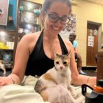 Apoorva Arora Instagram - Stupid hoomans wanted to “work” at a cat cafe. Stupid hoomans call themselves hOoMaN and think they sound cute -🐱
