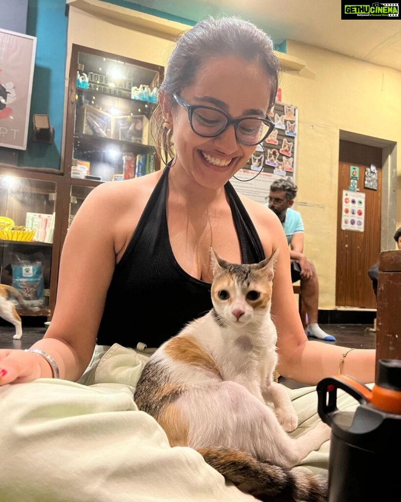 Apoorva Arora Instagram - Stupid hoomans wanted to “work” at a cat cafe. Stupid hoomans call themselves hOoMaN and think they sound cute -🐱