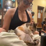 Apoorva Arora Instagram – Stupid hoomans wanted to “work” at a cat cafe. 
Stupid hoomans call themselves hOoMaN and think they sound cute
-🐱