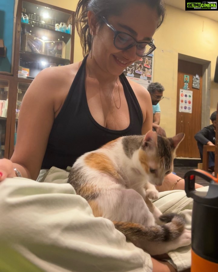 Apoorva Arora Instagram - Stupid hoomans wanted to “work” at a cat cafe. Stupid hoomans call themselves hOoMaN and think they sound cute -🐱