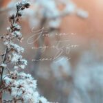 Ashima Narwal Instagram - Affirmations are a so good!! Try it out! Love Ash #morningaffirmations #ashima #loveashima #ashimanarwal