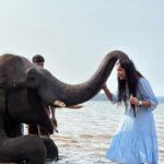 Bhavya Gowda Instagram - 🐘 #krishna #puneethrajkumar ಶಿವಮೊಗ್ಗ ಕರ್ನಾಟಕ