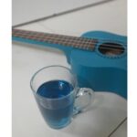 Bidita Bag Instagram - #sundayblues 🦋💙 #bluepeatea & blue #ukelele #aparajita #aparajitaflower