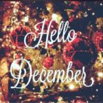 Diksha Panth Instagram - Special people are born in December♥️ you’re the last one so be the best one🥰 #love #peace #loyalty #berealbetrue #birthdaymonth #deekshapanth