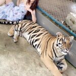 Diksha Panth Instagram - Aaj Kuch Toofani Kartey Hai😉 [explore, trending, Insta daily, Insta mood, Hyderabad, love, trend, explore, outfit, dikshapanth, designer outfit, social media, Tiger, Tiger park, Thailand, Instagram growth] #explore #explorepage #instareel #dikshapantth #exploremore #trending #trend #instagram #instagood #instadaily #instafood #instamood #instamoment #instafashion #hyderabad #dikshapanth #deekshapanth Tiger Park Thailand