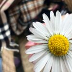 Elli AvrRam Instagram - For the love of Flowers and Serenity🍃🌸 Thank you Pahalgam. #traveldiaries #pahalgam #kashmir #heavenonearth #paradise #serenity #india #thankyou #elliavrram #yourstruly #indiawithelli Pahalgam Kashmir