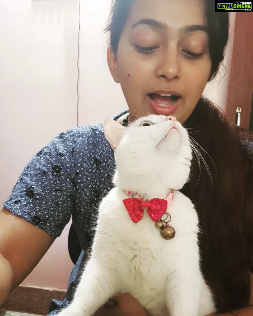 Ester Noronha Instagram - We just finished our Sunday breakfast with filter coffee!!! 😋🐱❤ Hope you all have a happy Sunday too! 🤗 God bless 🥰 PC : Mamma 🙈❤ #sundaybreakfast #filtercoffee #lazysunday #happysunday #fromustoyou #haveagreatday #Godbless #muchlove #okbye