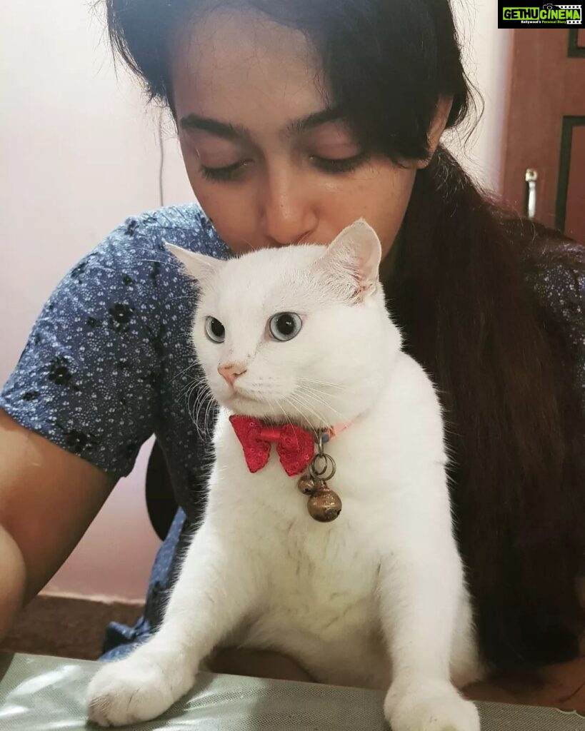 Ester Noronha Instagram - We just finished our Sunday breakfast with filter coffee!!! 😋🐱❤ Hope you all have a happy Sunday too! 🤗 God bless 🥰 PC : Mamma 🙈❤ #sundaybreakfast #filtercoffee #lazysunday #happysunday #fromustoyou #haveagreatday #Godbless #muchlove #okbye