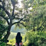 Farina Azad Instagram - Vibing with nature is invincible! Good evening