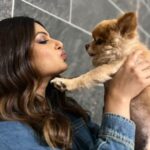 Harnaaz Kaur Sandhu Instagram - This friendship is fur real💗 @thetoypom