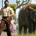 Hema Malini Instagram - More glory to India! After the Golden Globe awards,RRR has won the best original song award at the Oscars for Naatu Naatu❤️Can’t ask for more! Lovely acceptance song by the composer Keeravani! Elephant Whisperers brought more glory by winning an Oscar for the best short film!👍 #oscar95 #winners #rrr ##natunatu #mmkeeravani #elephantwhispers