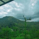 Indhuja Ravichandran Instagram - All the art of living lies in a fine mingling of letting go and holding on . . . . . . . @wildplanetresort @tripstoluxury