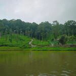 Indhuja Ravichandran Instagram - All the art of living lies in a fine mingling of letting go and holding on . . . . . . . @wildplanetresort @tripstoluxury
