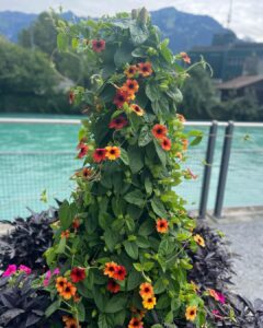 Janani Ashok Kumar Instagram - INTERLAKEN YOU IRRESISTIBLE BEAUTY 🫠💯♥️
#switzerland #traveldiaries #europe #memories #lifeisbeautiful