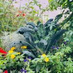 Janani Ashok Kumar Instagram - 🌱🪻🌻 Interlaken, Switzerland