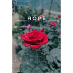 Janani Ashok Kumar Instagram - #hope 🙏🏼💫✨💯 Chennai, India