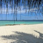 Janani Ashok Kumar Instagram - Food & nature at its best 💯💫✨ #milaidhoo #maldives Milaidhoo Island, Maldives