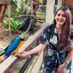 Kritika Sharma Instagram - Langkawi wildlife park ! Saw some amazing and never seen animals and birds . Outfit @luluandskyofficial #travel #wildlife #zoo #langkawi #malaysia #wildlifepark Langkawi Island