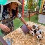 Kritika Sharma Instagram - Langkawi wildlife park ! Saw some amazing and never seen animals and birds . Outfit @luluandskyofficial #travel #wildlife #zoo #langkawi #malaysia #wildlifepark Langkawi Island