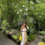 Mehrene Kaur Pirzada Instagram - Making the most of my half day off 🌸 Amethyst