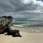 Mithila Palkar Instagram – Rottnest da best! 🥳

@westernaustralia #wathedreamstate @rottnestislandwa @visitperth @cityofperth #rottnestisland #rottnestislandwa #perth #australia Rottnest Island