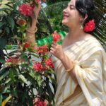 Miya George Instagram - Vishu vibe 🌼 saree by @amyraonline