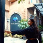 Mukti Mohan Instagram - Allow us to walk you through our new space in Versova ✨ 𝐌𝐮𝐤𝐭𝐢 𝐌𝐚𝐧𝐜𝐡 : Theatre and Peforming Arts Studio An exclusive theatre consortium for stories and its tellers to flourish beyond medium. Theatre Plays | Acting and Dance Classes | Open Mics | Studio Booking and Many more.... Please contact 7021689901 / 8454872758 for more enquiry Aaiyega Zaroor🙏🏼🌝 #MuktiManch team can’t wait to host you @muktimohan @whokunalthakur @thesyedwaris @iammridulali @itz_ray_23 @ra_jeev5521 @souravsharmaofficial #muktimanch #muktimanchevent #muktimanchstudio #muktimanchproduction #muktimanchclasses #actor #actorslife #acting #actingworkshop #dance #theatre #performingarts #studio #mumbai #versova Mukti Manch