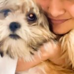Muskan Bamne Instagram - Happy International Dog Day 😍❤️🐾🫶 My babies 🫢❤️🐾😍😍😍 #qoohoo #chanchan #bingo #rio #bella #josh