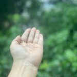 Poonam Kaur Instagram - 🌧️ 🍀 🫶 We need to have regular practises so that higher consciousness prevails for peace ✌️