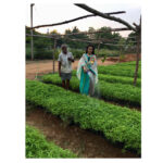 Reshma Rathore Instagram - Few more pics:)