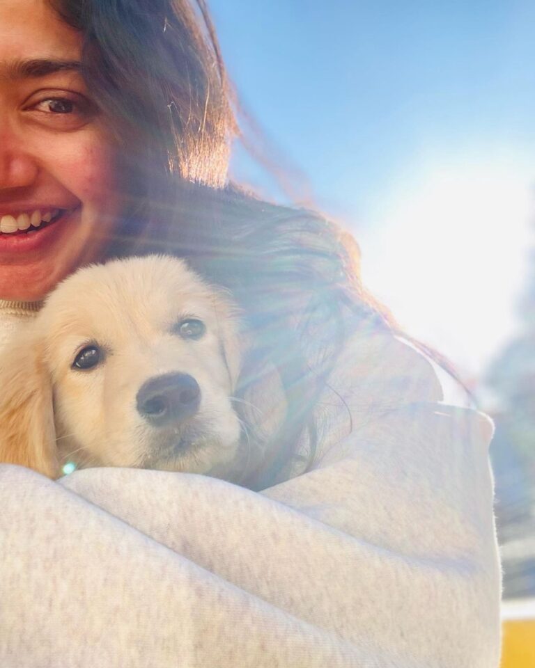 Sai Pallavi Instagram - Hello Sunshine 💛