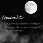 Samyuktha Varma Instagram - 🌒