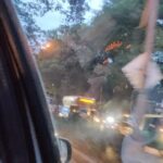 Sanam Shetty Instagram - Back to traffic n trees.. gummornin busy bees! #bangalore