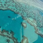 Sayani Gupta Instagram - The next day we went to the 🩵 Reef (Beauty that envelopes everything) 1. Manifesting an action film in a helicopter 2. Heart reef : very few things come close to nature being cute & grandeur at once! 3. The colours I’d only seen in a crayon box.. not even! This patch took my breath away. This video doesn’t come close to what it actually looked like. 4. I don’t cry easily. But nature gets me. My whole life flashed in front of me.. just being here in this moment. This comes closest to feeling close to the Divine. Had to take this photo as a reminder.. How far You’ve come! But I am probably still pouting 🫣 5. Spotted a Ray (how clear must the water be)! 6. 🐋 (must have seen a dozen whales with families migrating on this day) 7. Just being us! @smritikiran 8. Bruce was lovely! Said we can’t imagine how lucky we are with the weather! Apparently rarest clear days. We told him he has the best job in the world. He told us how he got here. What a story again #respect 9. Our baby heli 10. Can be at this seat for ♾️ @whitsundaysQLD @queensland @australia #seeaustralia #thisisqueensland #lovewhitsundays @intercontinentalhaymanisland #nofilterneeded