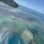 Sayani Gupta Instagram - The next day we went to the 🩵 Reef (Beauty that envelopes everything) 1. Manifesting an action film in a helicopter 2. Heart reef : very few things come close to nature being cute & grandeur at once! 3. The colours I’d only seen in a crayon box.. not even! This patch took my breath away. This video doesn’t come close to what it actually looked like. 4. I don’t cry easily. But nature gets me. My whole life flashed in front of me.. just being here in this moment. This comes closest to feeling close to the Divine. Had to take this photo as a reminder.. How far You’ve come! But I am probably still pouting 🫣 5. Spotted a Ray (how clear must the water be)! 6. 🐋 (must have seen a dozen whales with families migrating on this day) 7. Just being us! @smritikiran 8. Bruce was lovely! Said we can’t imagine how lucky we are with the weather! Apparently rarest clear days. We told him he has the best job in the world. He told us how he got here. What a story again #respect 9. Our baby heli 10. Can be at this seat for ♾️ @whitsundaysQLD @queensland @australia #seeaustralia #thisisqueensland #lovewhitsundays @intercontinentalhaymanisland #nofilterneeded