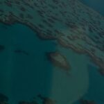 Sayani Gupta Instagram - Flew through clear blue skies, walked on pearl white sand, swam in the turquoise Pacific, hiked through 🌳to the Sunset. All today. While seeing a dozen whales, three sharks and being surrounded by tens of wallabies. Gasped, wept, laughed, jumped, prayed. Only gratitude. I have no words. @smritikiran @whitsundaysQLD @queensland @australia #seeaustralia #thisisqueensland #lovewhitsundays This has gotta be one of the prettiest spots on the planet. Hayman Island
