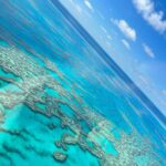 Sayani Gupta Instagram - Flew through clear blue skies, walked on pearl white sand, swam in the turquoise Pacific, hiked through 🌳to the Sunset. All today. While seeing a dozen whales, three sharks and being surrounded by tens of wallabies. Gasped, wept, laughed, jumped, prayed. Only gratitude. I have no words. @smritikiran @whitsundaysQLD @queensland @australia #seeaustralia #thisisqueensland #lovewhitsundays This has gotta be one of the prettiest spots on the planet. Hayman Island