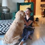 Shilpi Sharma Instagram - Music and Waffle is Fun 🤩🐶🎧🎶. . . . #goldenretriever #keyboard #music #learningmusic #dog