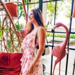 Shivaleeka Oberoi Instagram - Have a Flamingood day! 🦩🦩🦩 #HappyMonday ☀️