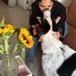 Shriya Pilgaonkar Instagram - have no chill when it come to him.♥️ #OMGaaaaawd #Jack #obsessed