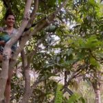 Shriya Pilgaonkar Instagram - At the end of the day , the simplest things end up giving you the most joy🥭 Wildflower Villas Goa