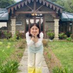 Shweta Tripathi Instagram - Switching on or switching off, Or both ⛅️ #HakunaBattata Binsar, Uttarakhand, India