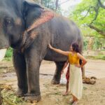 Sreethu Krishnan Instagram - Love at first sight 🫶🏻 Krishna narayana 🐘😍✨… Wearing @varnikacollections7 ⭐️ #sreethukrishnan #elephant #happy #blessed #love #elephantlove #kerala