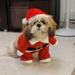 Tina Desai Instagram - Merryyyyyyyy Christmas y'all!!!! From Santa Thor and family 🎄