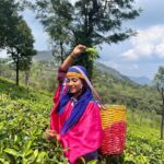 Ulka Gupta Instagram - Chai ke Baaghaan mein yeh nahi kiya toh kya kiya? 🤙🏾 Sollu 😎 #teaplantations #ootydiaries Ooty & Coonoor, Nilgiri Hills, Tamil Nadu